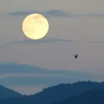 Ogni quanto c'è la luna piena
