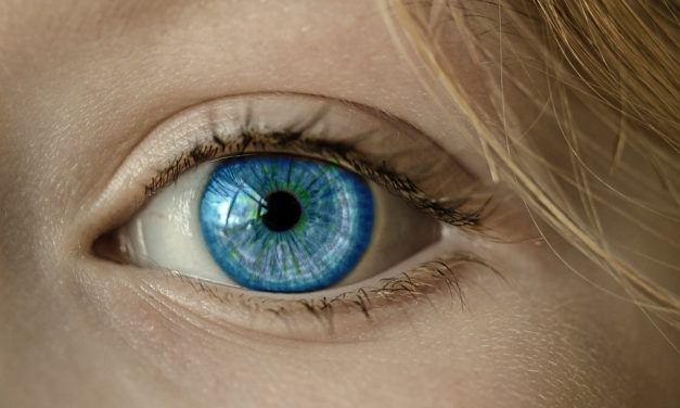 Ogni quanto controllare la vista